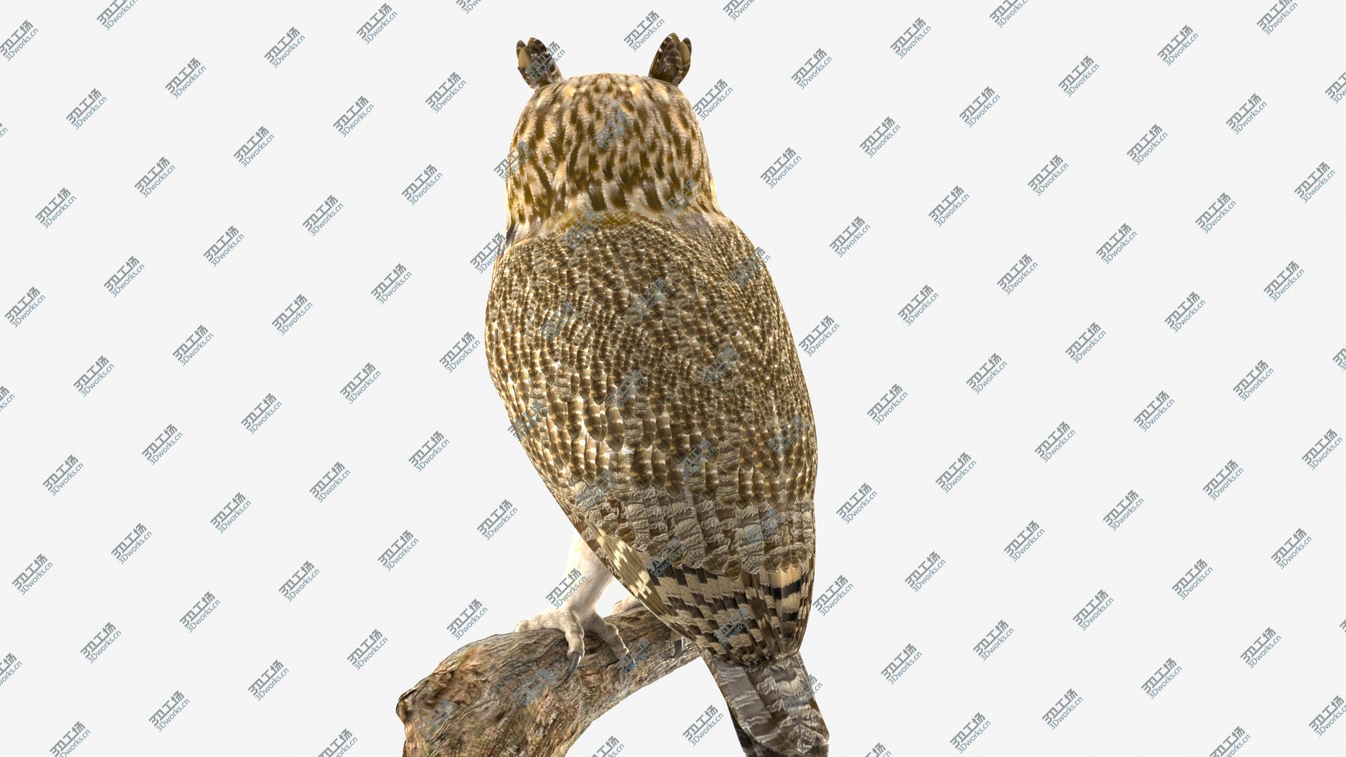 images/goods_img/202105072/Owl 3D model/4.jpg